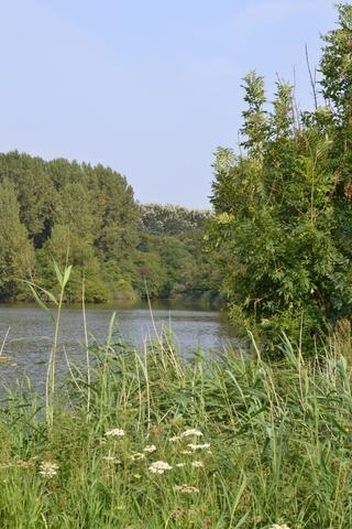 Fletcher - Spaarnwoude 4*